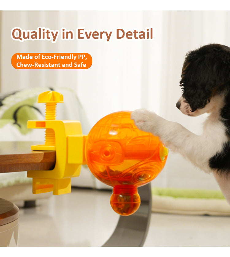 World Cup pet  Feeder