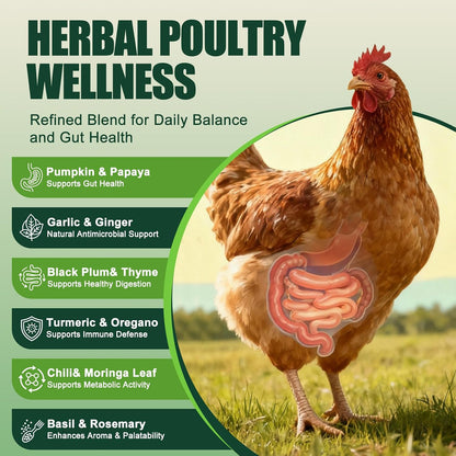 chicken feed chicken poultry, buy chicken feed online non gmo chicken feed